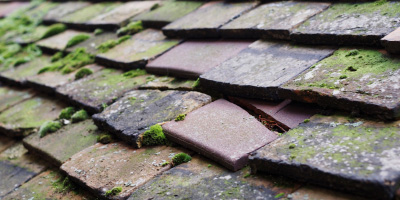 Northey Island roof repair costs